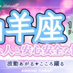 山羊座１月前半🪽大アルカナ多発‼️大切な人と安心安全な世界へ🌈✨守護のエネルギーが強い😳✨お誕生日おめでとうございます🎊