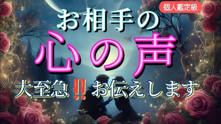 【※ガチすぎ】お相手の心の声😳大至急‼️お伝えします❤️恋愛タロット