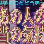 【結論】【相手の気持ち】片思い複雑恋愛タロットカードリーディング✨個人鑑定級占い🔮