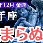 【射手座】2024年12月いて座の金運は？金運崩壊…試練と救済のヒント