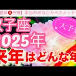 双子座🪐【2025年予祝㊗️】驚愕🤗鳥肌級の神展開⚡️連発🎇今迄の人生の努力や苦労や経験が報われて覚醒し波に乗る年到来🎊先読み深掘りリーディング#2025年#潜在意識#双子座