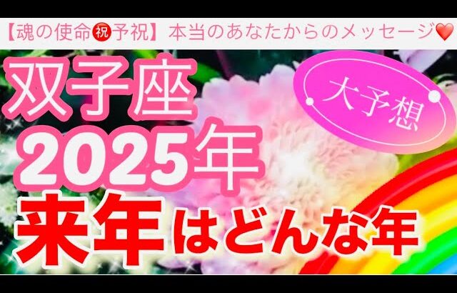 双子座🪐【2025年予祝㊗️】驚愕🤗鳥肌級の神展開⚡️連発🎇今迄の人生の努力や苦労や経験が報われて覚醒し波に乗る年到来🎊先読み深掘りリーディング#2025年#潜在意識#双子座