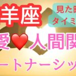 山羊座♑️見た時がタイミング❤️恋愛✨パートナーシップ✨人間関係💕