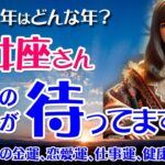 【乙女座】2025年のおとめ座の金運、恋愛運、仕事運、健康運を12星座とタロット占いで徹底追及！