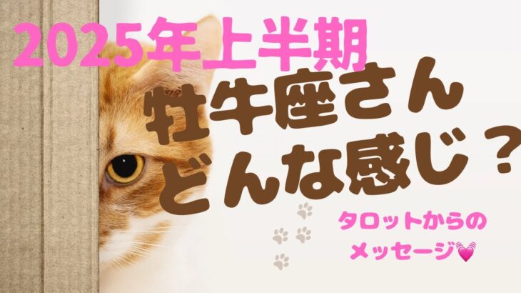 【2025年上半期】牡牛座♉️サクッと短めタロットリーディング🌈とことん自分と繋がる ＊ 心の微細な反応を見逃すな ＊ 行く先を決めたら後押しがある ＊