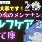 いて座🌈第7弾🌠2025年「セルフケア💚3択」ホッとしたくなったら占う動画⭐サクッと占い　タロット　セルフケアオラクルカード peace of mind /sakura with micro