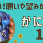 【蟹座】2025年1月♋️すごい‼️本当の願いが叶う❗️自分の輝きを取り戻す✨豊かさを引き寄せる❗️