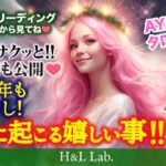 🐱猫のタロットで占う！🎅12月の運勢【🔮全星座🔯】簡単に見れちゃう1星座🕰️5分ほどのサクッとリーディング🌟2024年もあと少し！年末に起こる嬉しいこと！＃タロット #占い #12月の運勢 #恋愛運