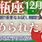 【水瓶座】正直、凄いです!! どうしたって水瓶座さんは時代を動かす運命!!🌝✨【仕事運/対人運/家庭運/恋愛運/全体運】12月運勢  タロット占い