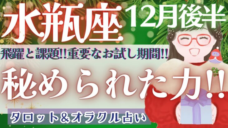 【水瓶座】正直、凄いです!! どうしたって水瓶座さんは時代を動かす運命!!🌝✨【仕事運/対人運/家庭運/恋愛運/全体運】12月運勢  タロット占い