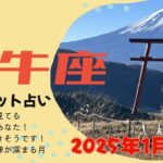 【2025年1月 牡牛座運勢】人間関係ががらっと変わる！？出会いも多い1月です！！今にフォーカスする事でさらに豊かに✨3択メッセージも選んでみてね♡