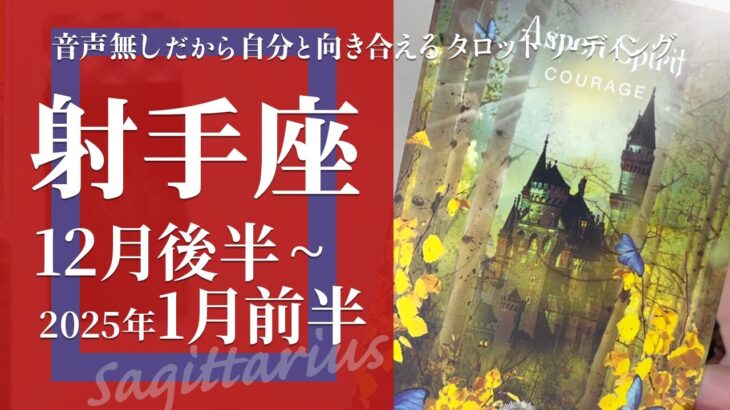 【いて座】違いを見つけてワクワク・有意義な年末年始★2024年12月後半から2025年1月前半★タロットリーディング【音声なし】【射手座】