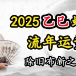 2025年乙巳年蛇年运势紫微斗数