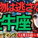 【牡牛座】♉️2024年12月23日の週♉️狙った獲物は逃がさない。狙いを定め、未来を確実にものにする。おうし座。タロット占い