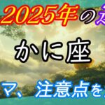 蟹座【2025年の運勢テーマと注意点】～ リーダーシップ開花 ～