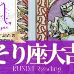 蠍座♏健康や過去世にまつわる大吉報🏇もうすぐ訪れる大吉報🏇どんな大吉報が🏇いつ頃訪れる？🌝月星座さそり座さんも🌟タロットルノルマンオラクルカード