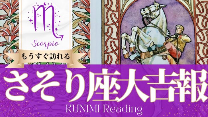 蠍座♏健康や過去世にまつわる大吉報🏇もうすぐ訪れる大吉報🏇どんな大吉報が🏇いつ頃訪れる？🌝月星座さそり座さんも🌟タロットルノルマンオラクルカード