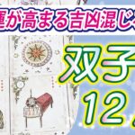 【双子座2024年12月の運勢】人から注目を浴びやすい分、嫉妬や妨害を受ける可能性も！周りや家族に対する日頃の感謝をしっかり声に出して伝えて下さい！⭐️タロットオラクルリーディング🌙グランタブロー🌈