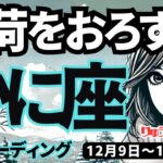 【蟹座】♋️2024年12月9日の週♋️重荷をおろす時。そのままの私でOK。頑張ってきたことが素晴らしい。かに座。タロット占い