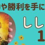 【獅子座】2025年1月♌️すごい‼️成功や勝利を手にする❗️努力が報われる✨理想の自分になれる❗️