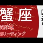 蟹座♋️2025年は12年に一度の大幸運期✨