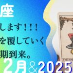 生まれつき強運すぎる🤸全部ひっくり返す引き寄せの2025年。【12月の運勢・2025年上半期の流れ　獅子座】