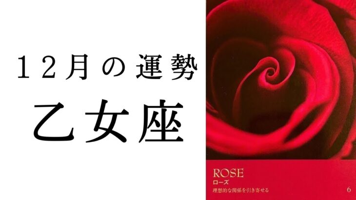 【乙女座🎄12月の運勢】今期、最大級のギフト💝突然新たな扉が開かれる🚪✨2024年タロット占い