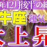 【牡牛座】2024年12月後半おうし座~運命を動かすエネルギーが高まる時期~