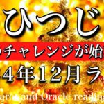 おひつじ座♈︎2024年12月後半　ペンタクルス祭り👑本気のチャレンジが遂に始まる💫Aries tarot  reading