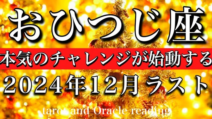 おひつじ座♈︎2024年12月後半　ペンタクルス祭り👑本気のチャレンジが遂に始まる💫Aries tarot  reading