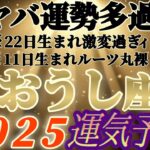 個人鑑定級【牡牛座♉】みんなの生まれ日占うよ！2025年運気予報　※やっば〜〜みんなの運勢ヤバ過ぎだ〜！！　【タロット占い、オラクル占い】