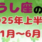 【星座】おうし座　2025年上半期(1月〜6月)