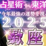 【2025年の運勢・蠍座（さそり座）】西洋占星術×東洋占…水森太陽が全体運・仕事運＆金運・恋愛運を占います【開運アドバイス＆ラッキーカラー付き】星座×干支