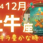 【牡牛座】♉️2024年12月🎄まっすぐ進む🦋誰かへの思い伝えていますか⁈💖