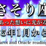 さそり座♏︎2025年前半1月から6月 もうその想いに蓋をしない💐　心の奥底で待っていた想いに光が差し込む　Scorpio tarot  reading