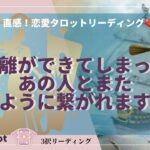 【タロット】【恋愛相談】距離ができてしまったあの人とまた繋がれる？タロット占い、復縁、疎遠、停滞、音信不通、あの人の状況、あの人の気持ち、あの人の本音