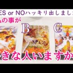 【YES or NOハッキリ❗️】今私の事が好きな人いますか？🔮イニシャル、特徴、未来🌈タロット、タロット占い、恋愛