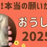 【牡牛座】気になる2025年の運勢♉️すごい1年‼️復活！本当の願いが叶う❗️気になる1年間の運勢✨