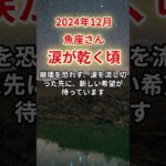 【魚座】2024年12月うお座、涙が乾く頃、運命が動き出す#魚座#うお座