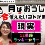 【2024年12月12日の星読み】月がおうし座へ「現実」「今日の天体解釈と今！今伝えたい事がある星座は？ハッピー占い・占星術ライター山田ありす