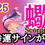 【蠍座⭐️2025年1月】大幸運サインがやってくる！！どんどん明るくなっていく☆【タロット/運勢リーディング】