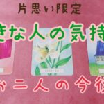 【片思い、恋愛】好きなお相手様のお気持ち、お二人の今後🌷タロット占い🔮（辛口あり）