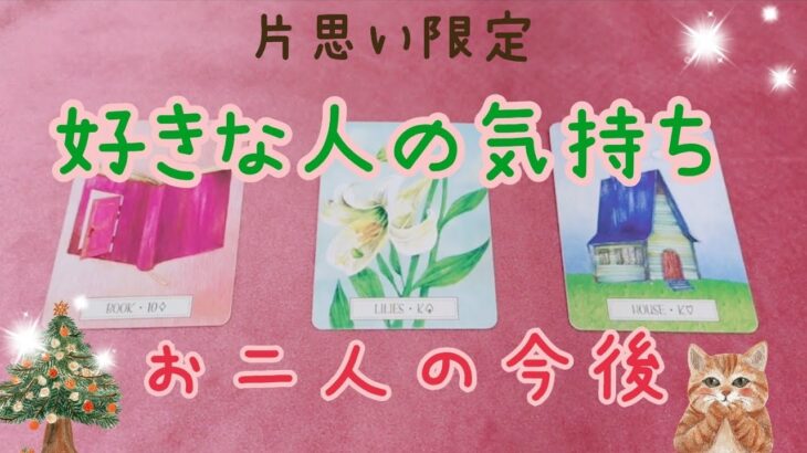 【片思い、恋愛】好きなお相手様のお気持ち、お二人の今後🌷タロット占い🔮（辛口あり）