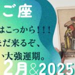 もう、凄すぎる…！！こっから一気に引き寄せる、最強の2025年。【12月の運勢・2025年上半期の流れ　双子座】