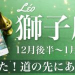 しし座♌️2024年12月後半〜2025年1月前半🌝抜ける！！道の先の光が見え始める、克服、どうしても出来なかったこと