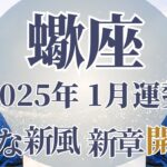 【さそり座】1月運勢　強烈な新しい始まり💪待ちに待ったの新章開幕🌈幸運の鍵は、基本を大切にすること【蠍座 １月】タロットリーディング