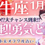 【牡牛座】最高過ぎるっ!!!対人運!!! 見逃さないでください👀💕 新ステージへ移行中🕊️ ✨【仕事運/対人運/家庭運/恋愛運/全体運】1月運勢  タロット占い