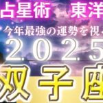 【2025年の運勢・双子座（ふたご座）】西洋占星術×東洋占…水森太陽が全体運・仕事運＆金運・恋愛運を占います【開運アドバイス＆ラッキーカラー付き】星座×干支