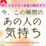 【恋愛💖タロット４択】最新版 今、この瞬間のあの人の気持ち 〜片思い 両思い 遠距離恋愛 複雑恋愛 〜