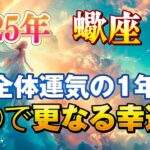 【蠍座/タロット占い】〇〇をすると更なる幸運UP🔮2025年は安定の1年！